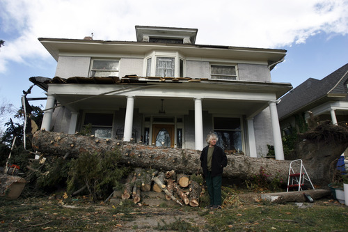 Francisco Kjolseth  |  The Salt Lake Tribune
Merla Swenson, 82, overlooks the damage created to her home of 30 years at 1133 E. 200 South in Salt Lake City on Thursday. Early Thursday morning, the large pine in front of her home toppled from high winds, a tree beloved by her husband, who passed away 1 month ago. Swenson was in the process of painting her home so she could get home owners insurance coverage.